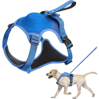 Flexible Retractable Leash