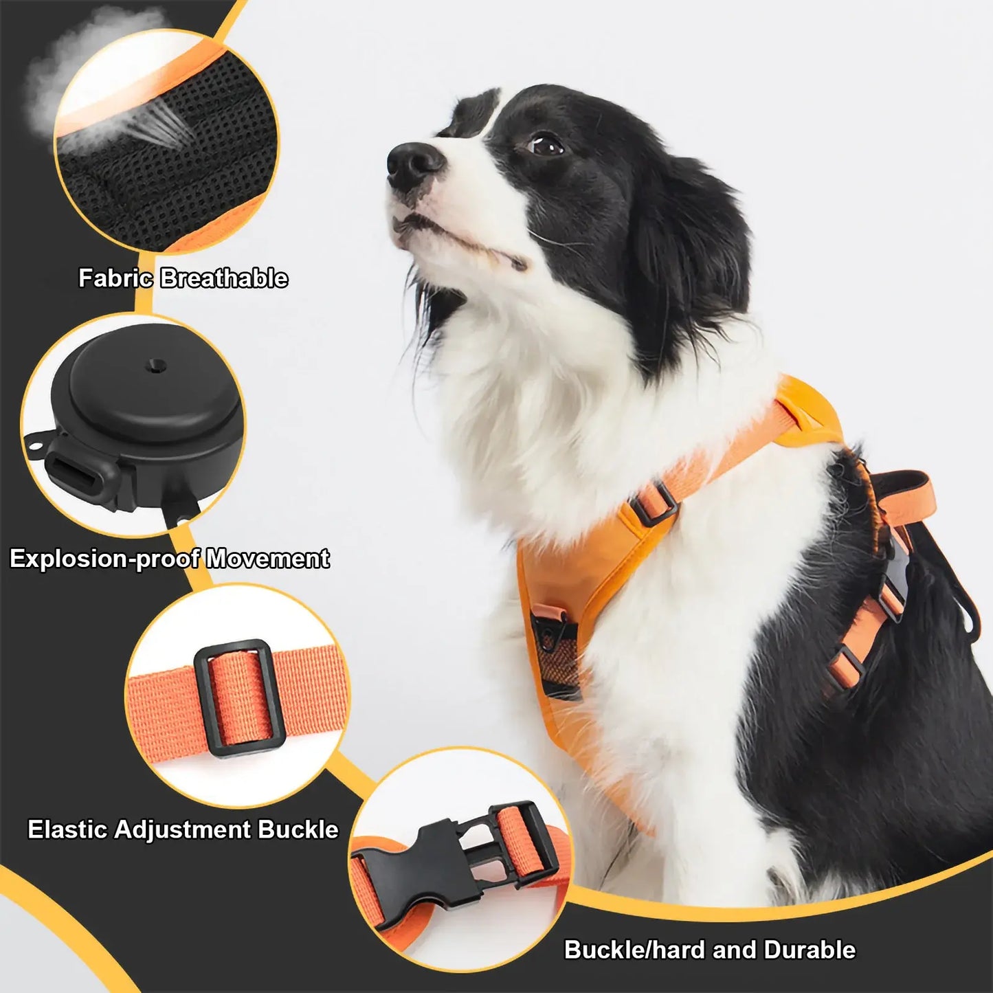 Flexible Retractable Leash